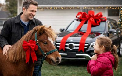 Gift‑Giving Guidelines During Custody Disputes in Colorado